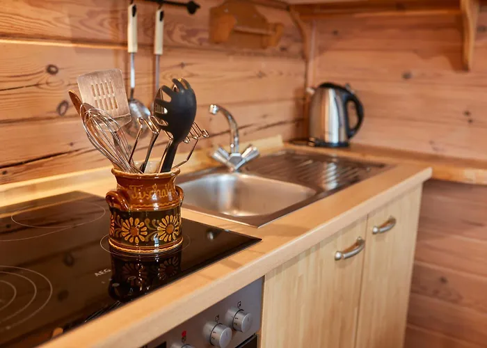 公寓 Fausts Blockhaus 施马伦贝格